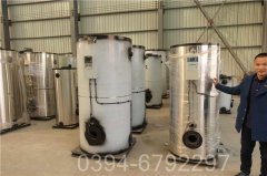 黑龙江2吨天然气热水完美网(中国)