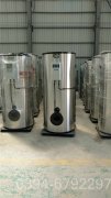 重庆12吨燃气热水完美网(中国)