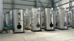 湖北1.5吨燃气热水完美网(中国)