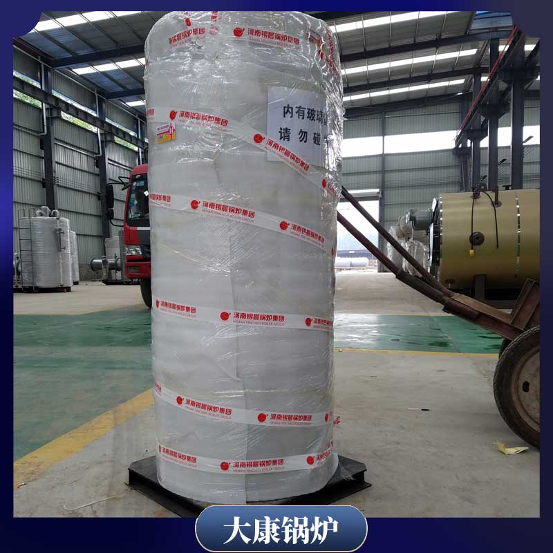 1t燃生物质完美网(中国)