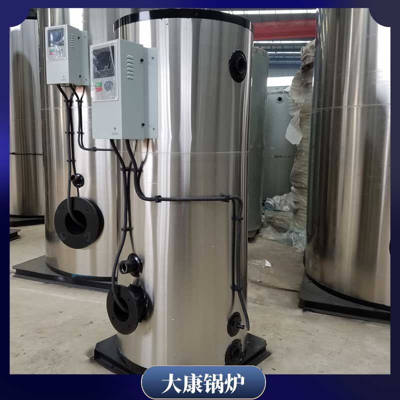 3吨燃生物质完美网(中国)