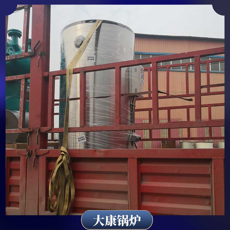 6吨的生物质完美网(中国)