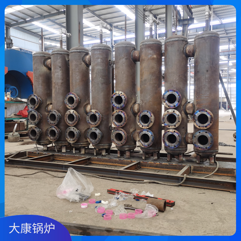 3吨燃生物质完美网(中国)