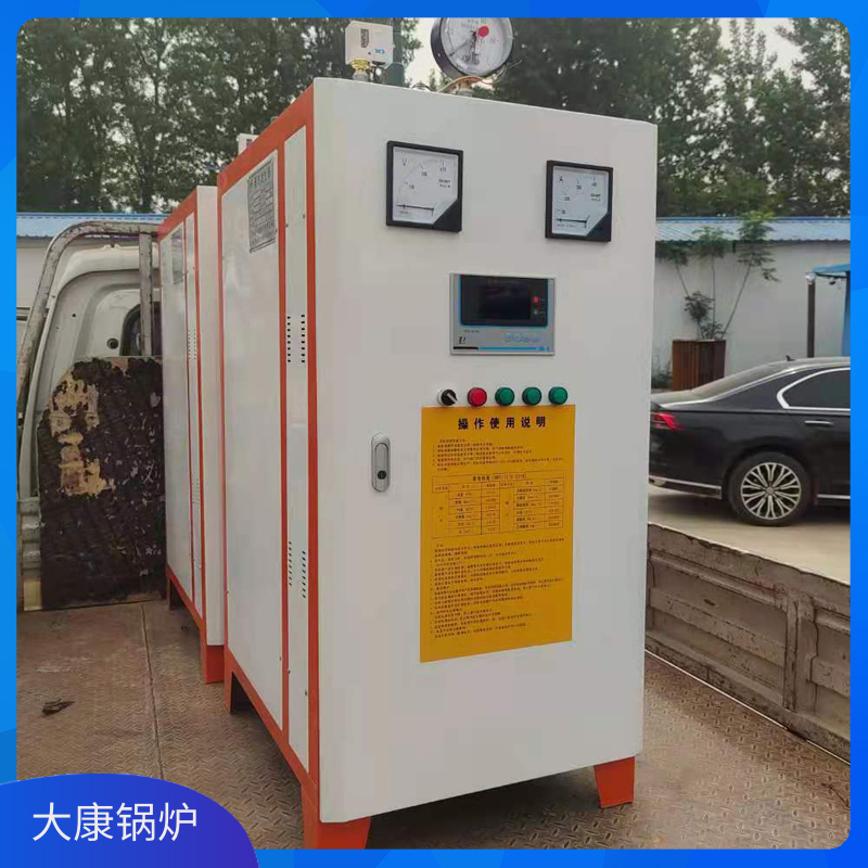20蒸吨生物质完美网(中国)