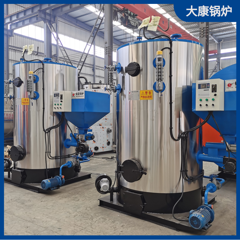二吨生物质卧式完美网(中国)