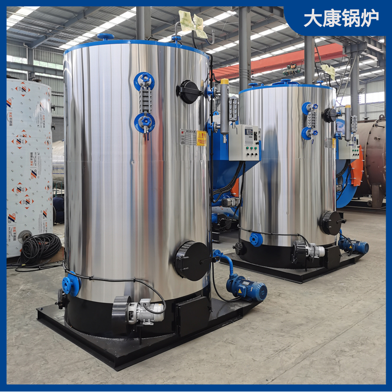 立式生物质蒸汽完美网(中国)1