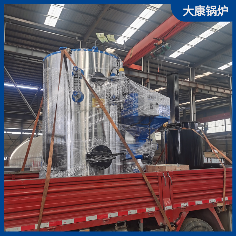 5吨生物质完美网(中国)