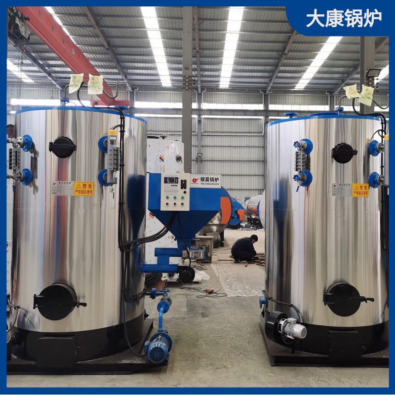 15吨燃生物质完美网(中国)