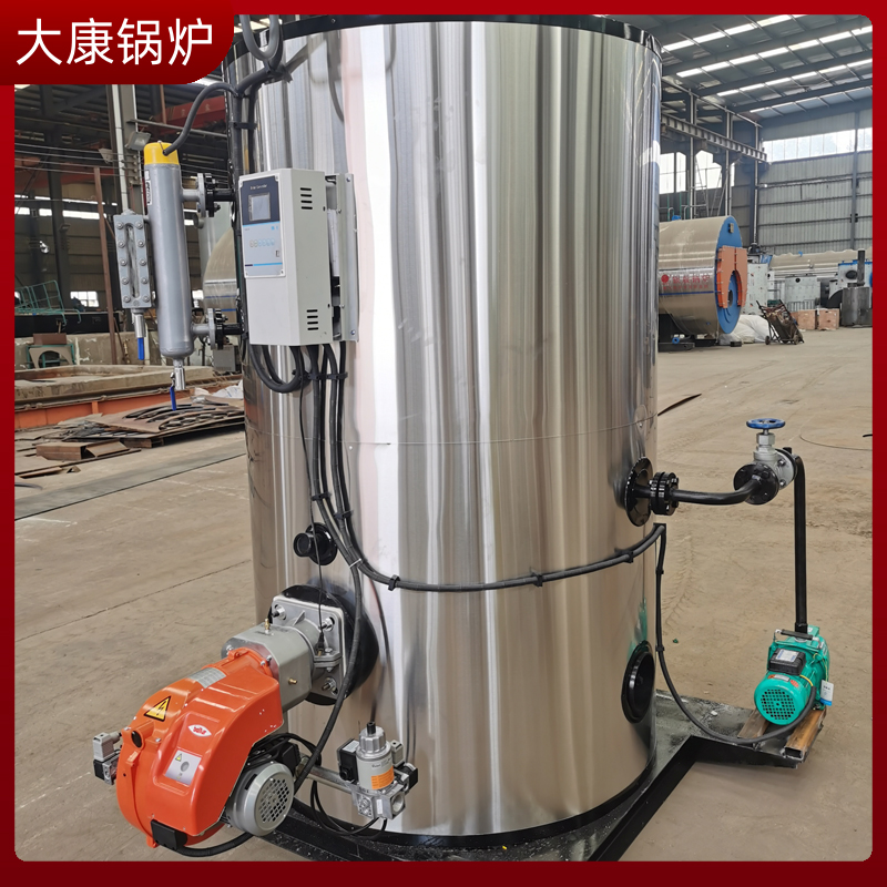 6吨的生物质完美网(中国)