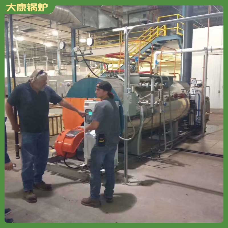 生物质蒸汽完美网(中国)价格