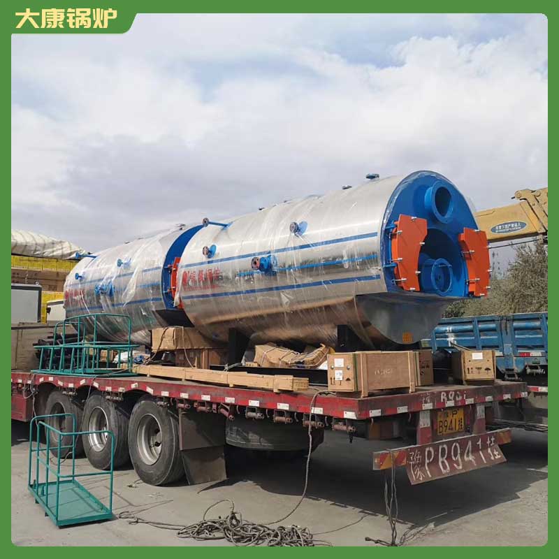 生物质热水完美网(中国)1t