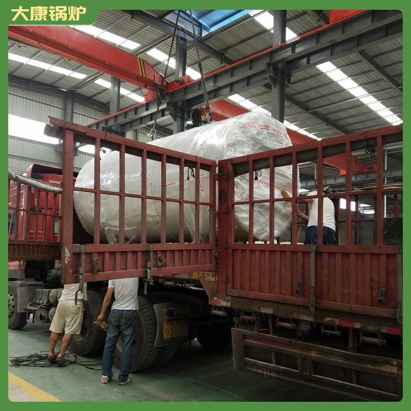 6t生物质燃料完美网(中国)