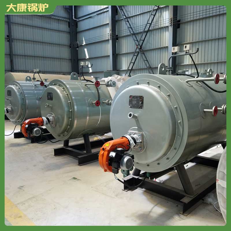 生物质承压热水完美网(中国)