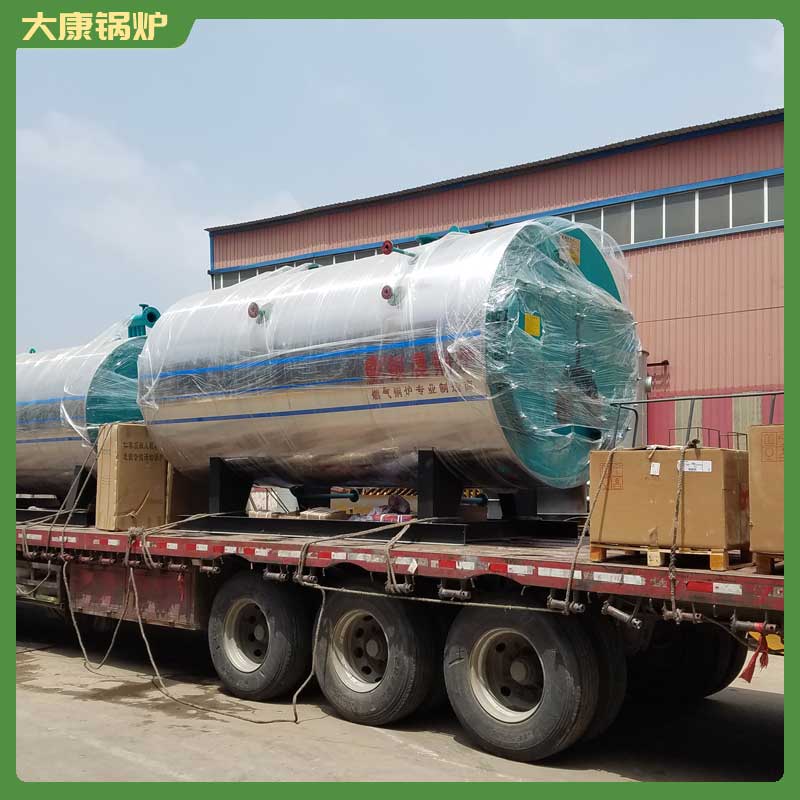 卧式生物质蒸汽完美网(中国)