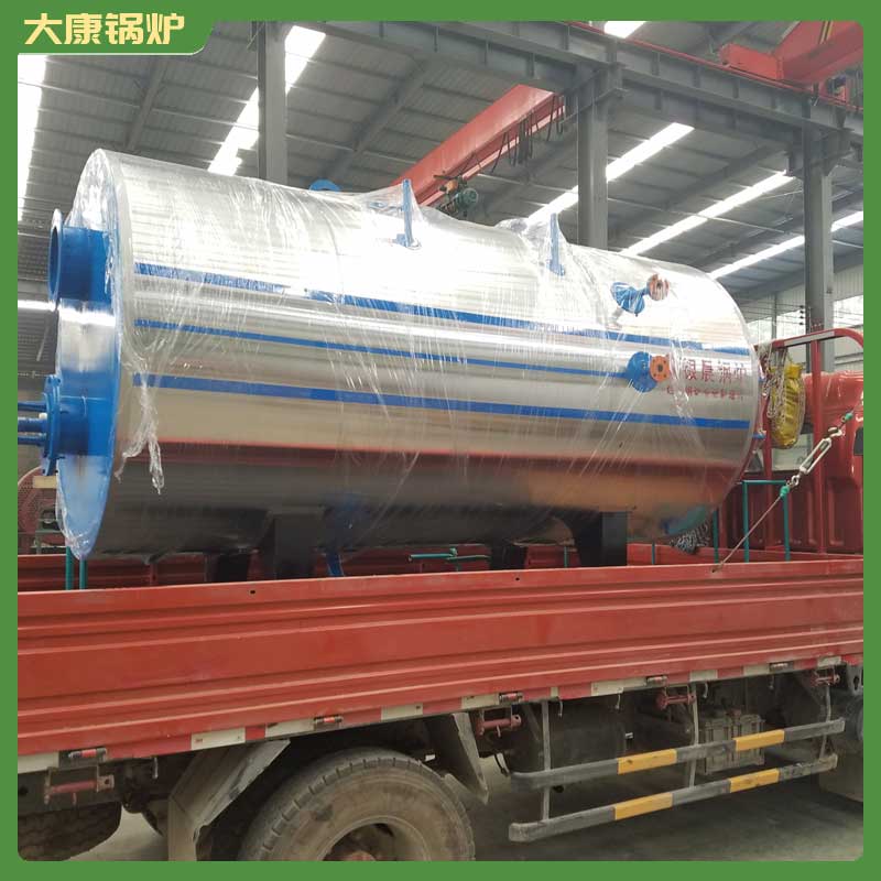 4吨热水生物质完美网(中国)