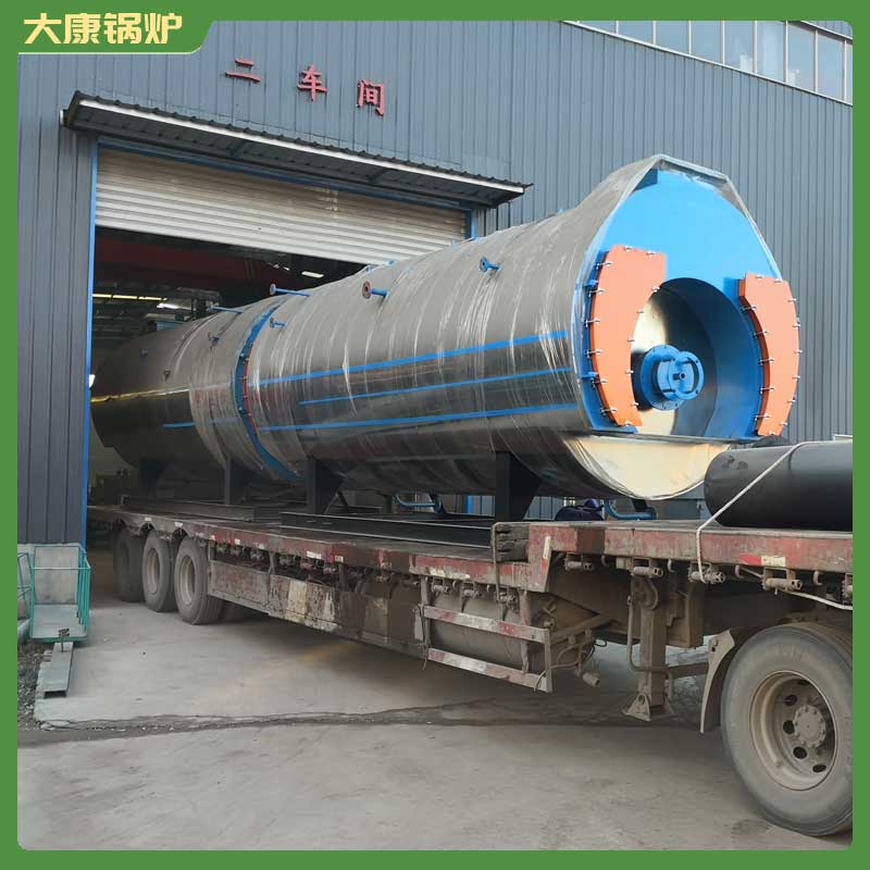 10吨热水生物质完美网(中国)