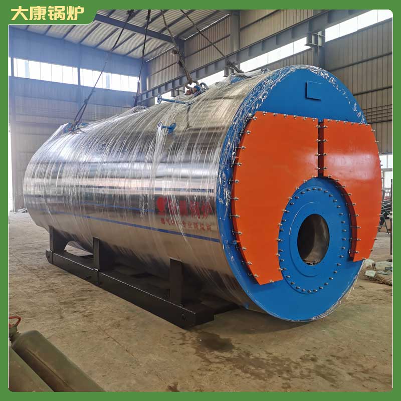 3吨燃生物质完美网(中国)