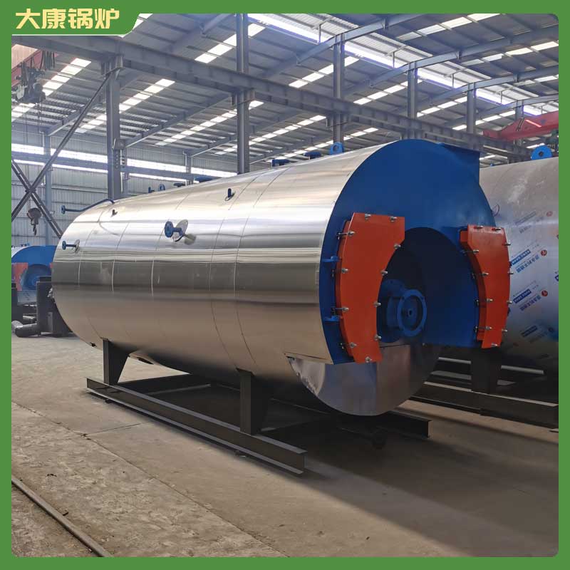 6t生物质燃料完美网(中国)