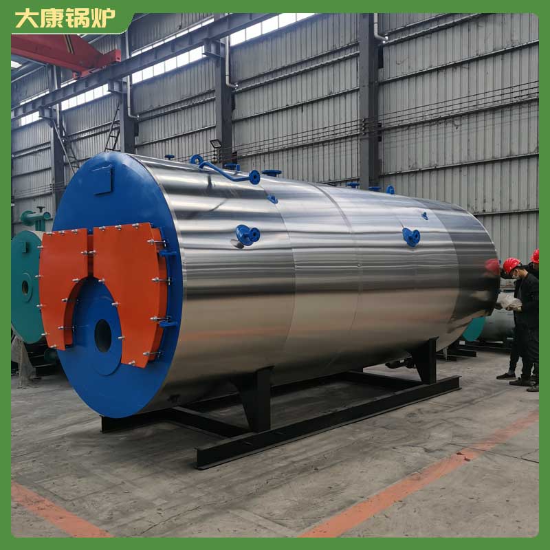 生物质热水完美网(中国)1t