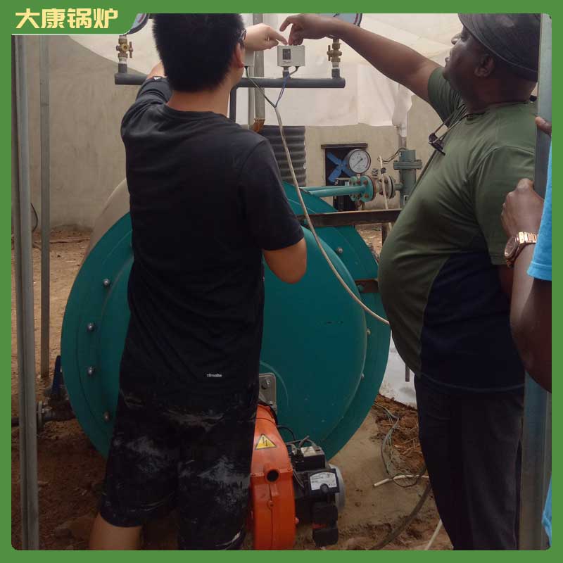 四吨生物质蒸汽完美网(中国)
