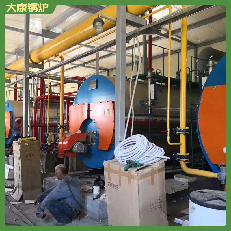 4吨生物质生物质完美网(中国)