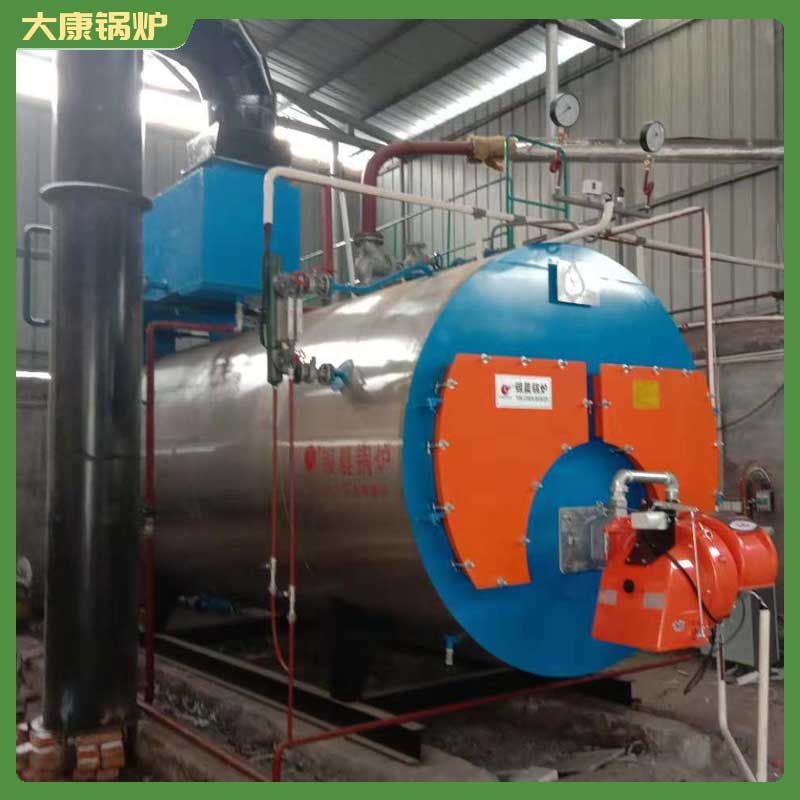 4吨热水生物质完美网(中国)