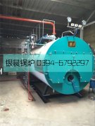 2吨燃气蒸汽完美网(中国)安装现场