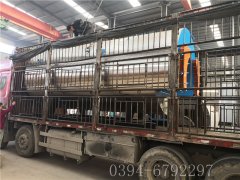 6吨燃气蒸汽完美网(中国)